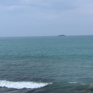 銀烏（ぎんがらす）